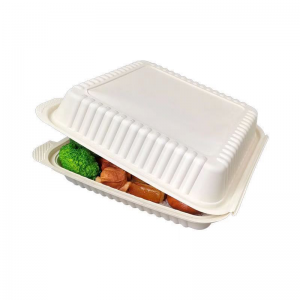 Eco compostable Muschel nehmen Lebensmittelbehälter Einweg biologisch abbaubare Zuckerrohr Bagasse Lunchbox für Kinder